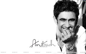 Amit Sadh